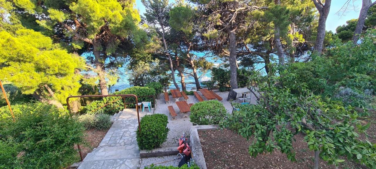 Apartments By The Sea Orebic, Peljesac - 16648 Ngoại thất bức ảnh